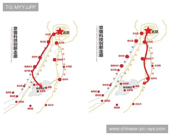 产业链上下游协同创新,共同构建体育直播新生态 产业链上下游协同创新,共同构建体育直播新生态